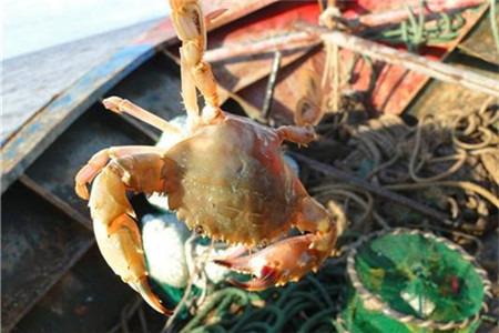 海边人家渔家乐