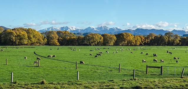 太平洋海岸观光火车