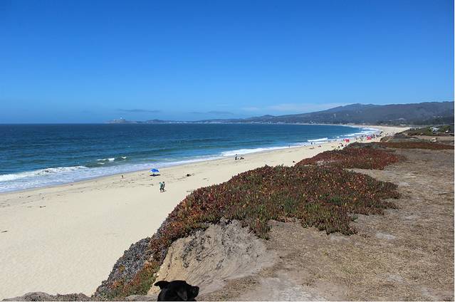 半月湾州立海滩