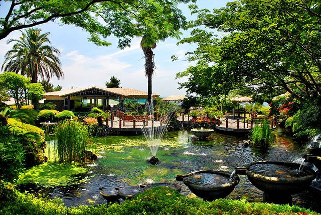 Seaes酒店海边花园咖啡厅