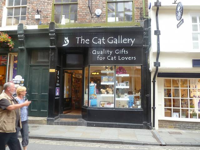 The Cat Gallery