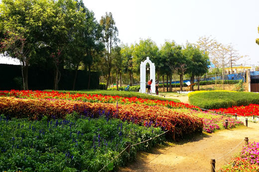 就是爱荔枝乐园