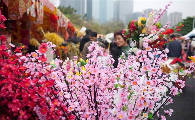 文化公园迎春花市