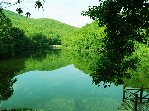 石塘竹海旅游景点图片