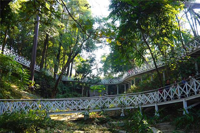 竹崎公园天空走廊