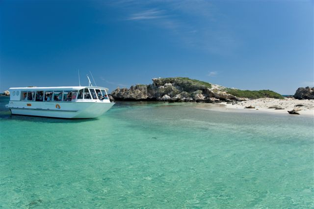 罗金厄姆野生动物区