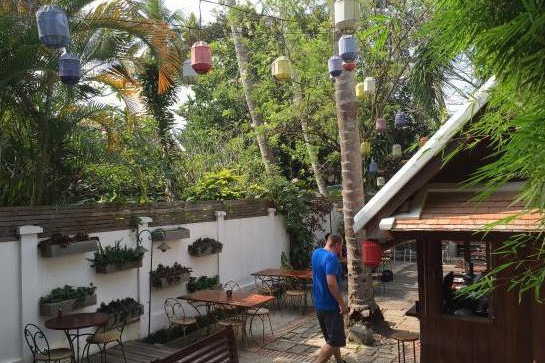 Coconut Garden