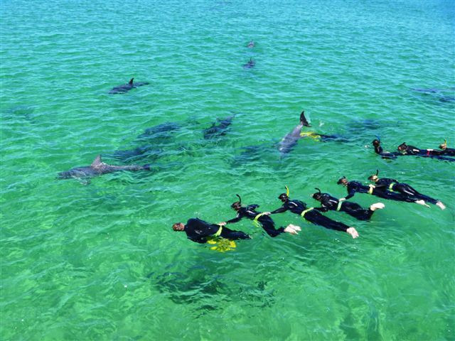 罗金厄姆野生动物区