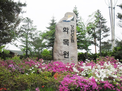 22江原道立花木园 旅游攻略 门票 地址 问答 游记点评 春川旅游旅游景点推荐 去哪儿攻略