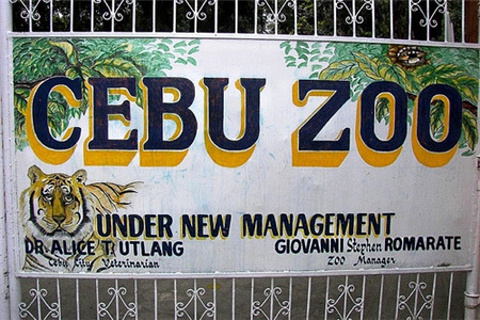 Rainforest Park Cebu