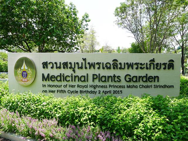 泰国草药种植园