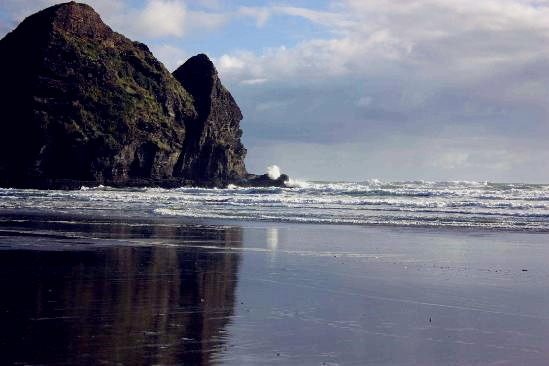 Bush and Beach Best of Both Worlds