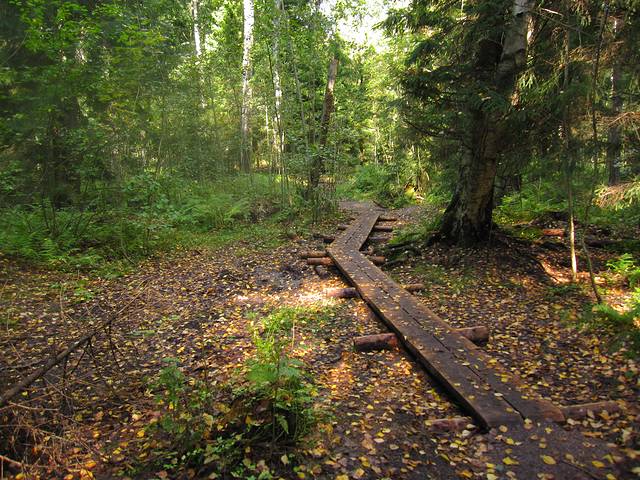 巴洛海依纳（Paloheinä）休闲中心