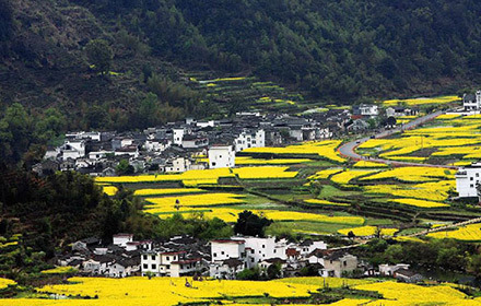 婺源旅游集散中心