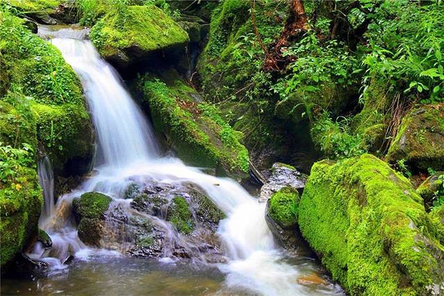 威虎山国家森林公园