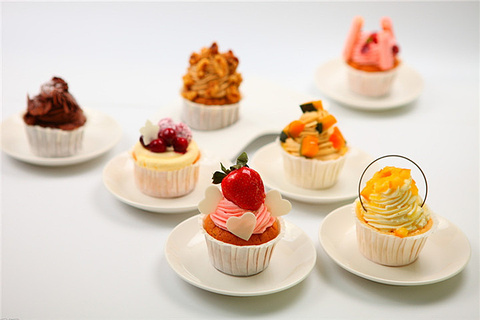 Sweet cat 味觉旅行