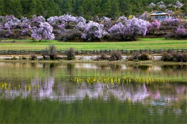 嘎朗国家湿地公园