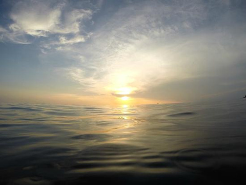 mellow yellow sunset cruise