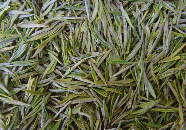 九龙茶源文化园区