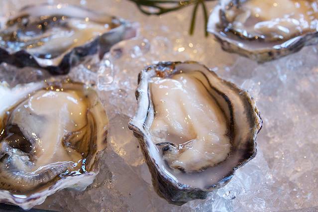 Clevedon Coast Oysters