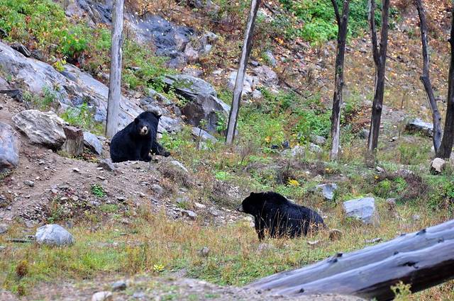 Parc omega野生动物园