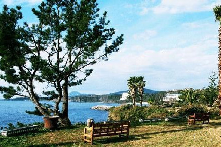 Seaes酒店海边露天花园