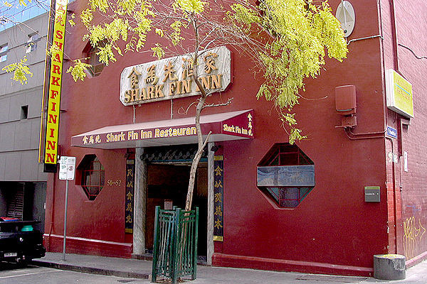 Shark Fin Inn