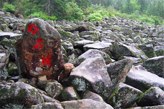 双子山原始森林公园