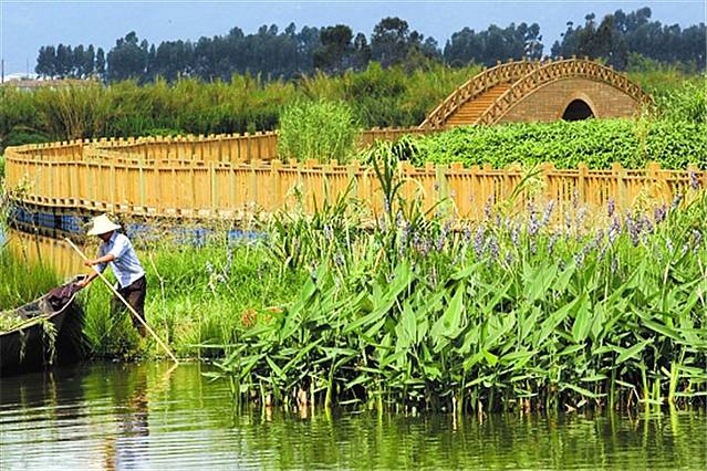 官渡五甲塘城市公园