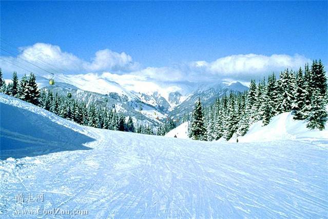 度假南山大众滑雪场