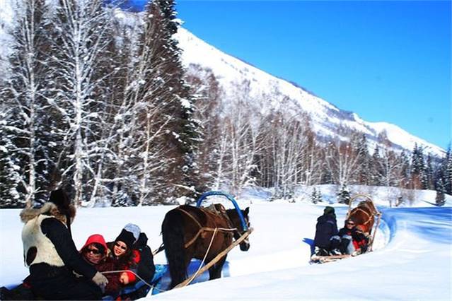 亚布力马拉雪橇