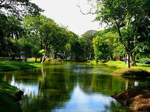 维哈马哈德维公园旅游景点图片