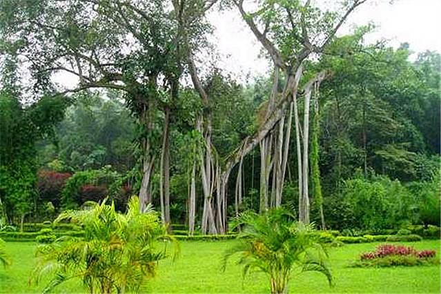 勐巴拉王国园林