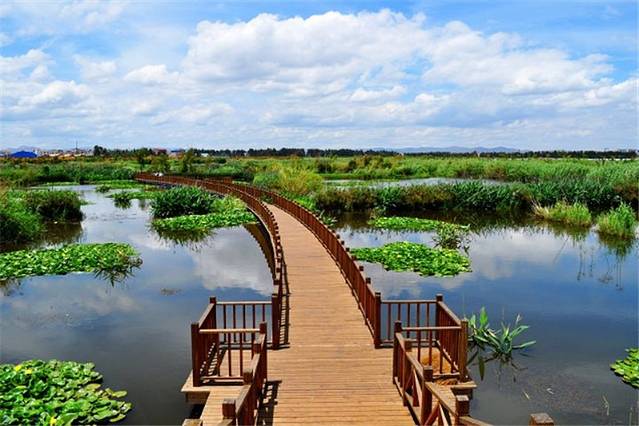 官渡王官湿地