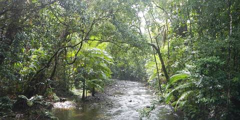 cc312a4f145a78f7.jpg_480x240x70_d352dd2c.jpg