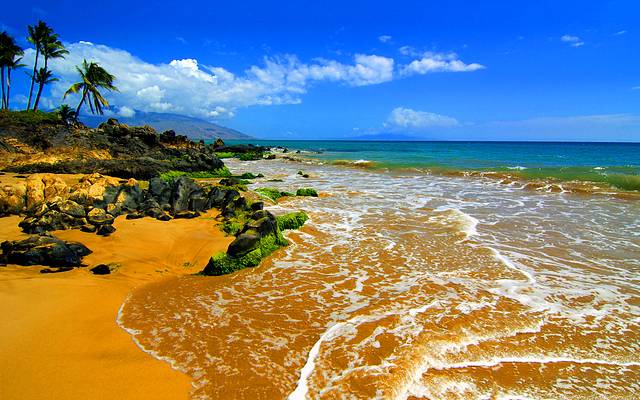 霍欧奇帕海滩公园