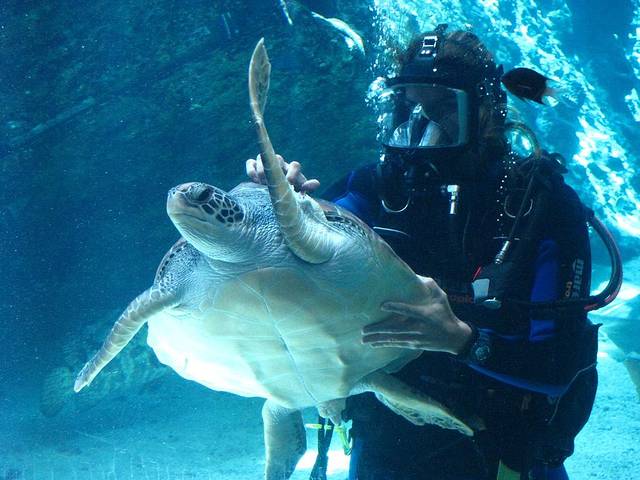 HQ 珊瑚礁水族馆