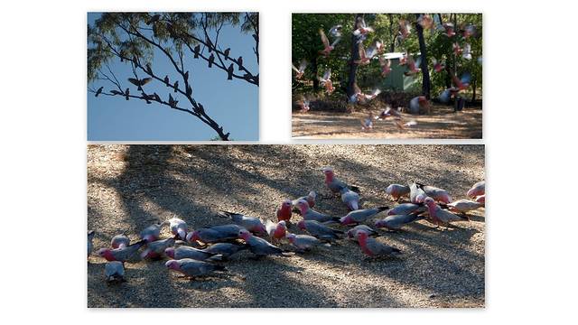布罗姆菲尔德哈斯提斯沼泽