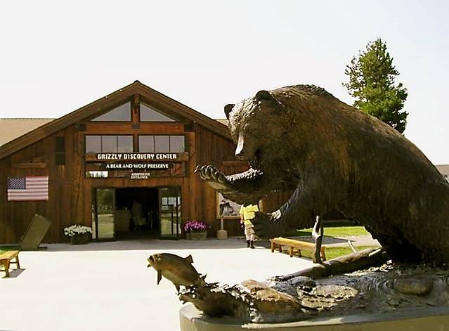 灰熊与狼探索中心