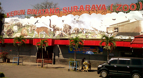 泗水动物园