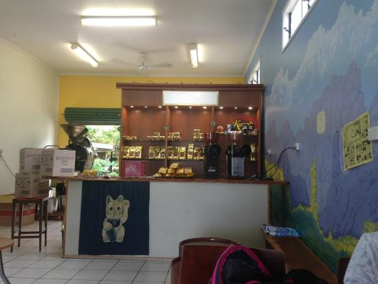 库兰达热带雨林咖啡