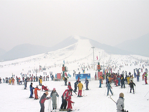 徐州大景山滑雪场旅游景点图片