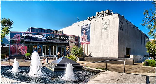 休斯顿自然科学博物馆