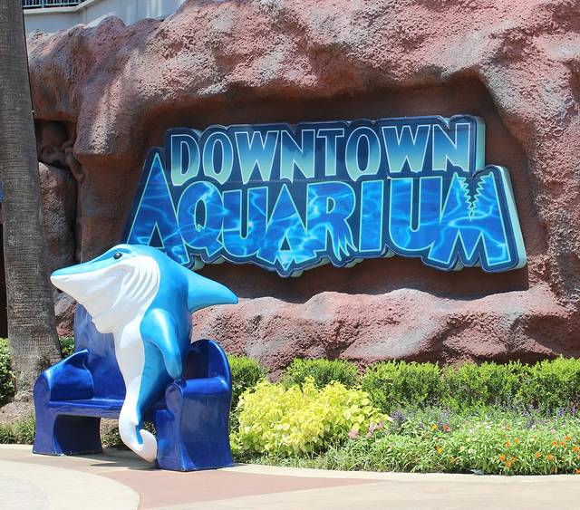 休斯顿市中心水族馆