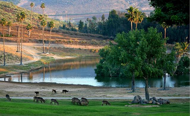 圣地亚哥野生动物园