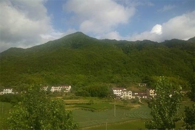 大别山小院子(大别山丽景风景区店)