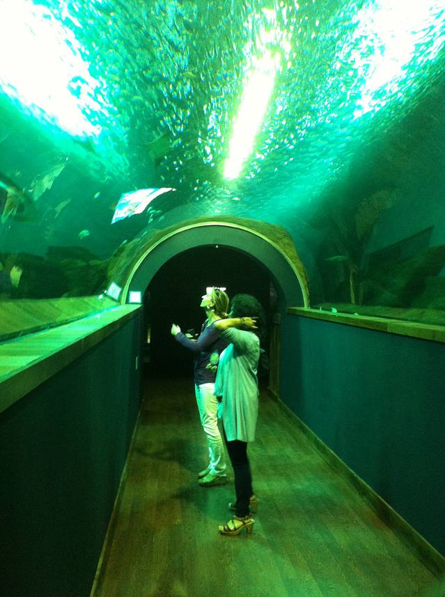 塞维利亚海洋馆