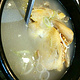 长寿参鸡汤(西塔店)