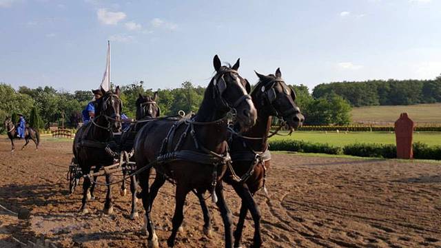 拉萨尔马术公园