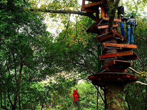 2024冒险树-旅游攻略-门票-地址-问答-游记点评,桂林旅游旅游景点推荐